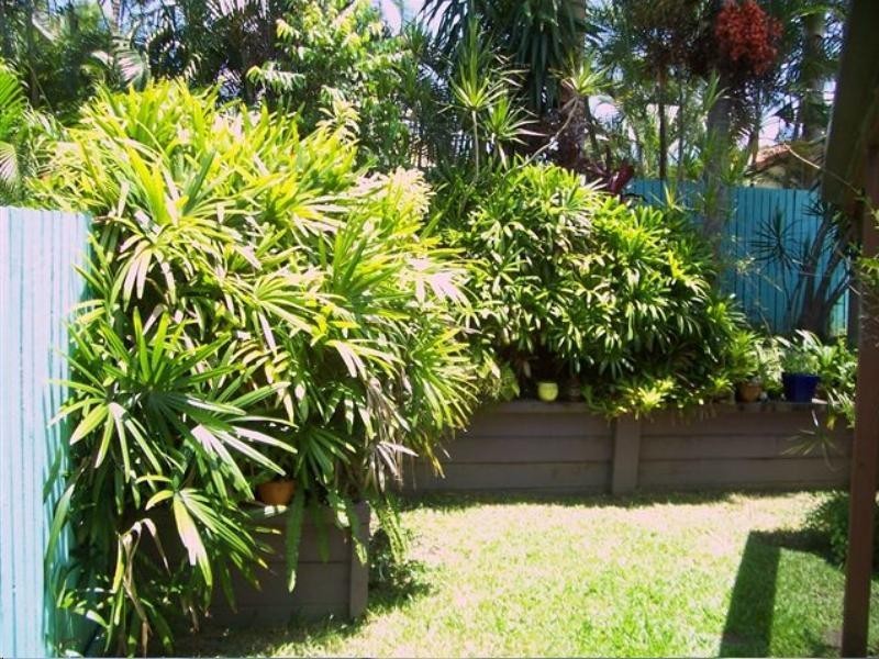 14 Amazon Close, Mount Sheridan QLD 4868