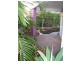 Casuarina NSW 2487