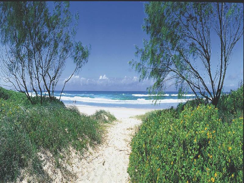 CD31 Casuarina Way, Casuarina NSW 2487