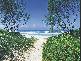 N56 Beech Lane, Casuarina NSW 2487