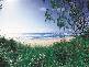 N57 Beech Lane, Casuarina NSW 2487