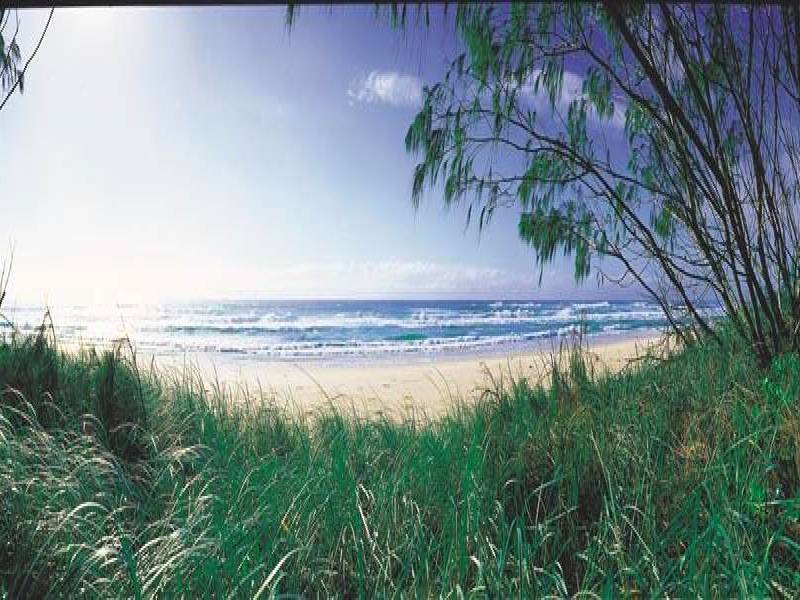 N57 Beech Lane, Casuarina NSW 2487