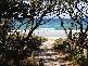 NW12 Casuarina Way, CASUARINA BEACH, Casuarina NSW 2487