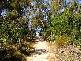 NW17 Casuarina Way, Casuarina NSW 2487