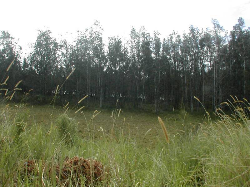 Lot 10 Bellinger Keys Estate, Urunga NSW 2455
