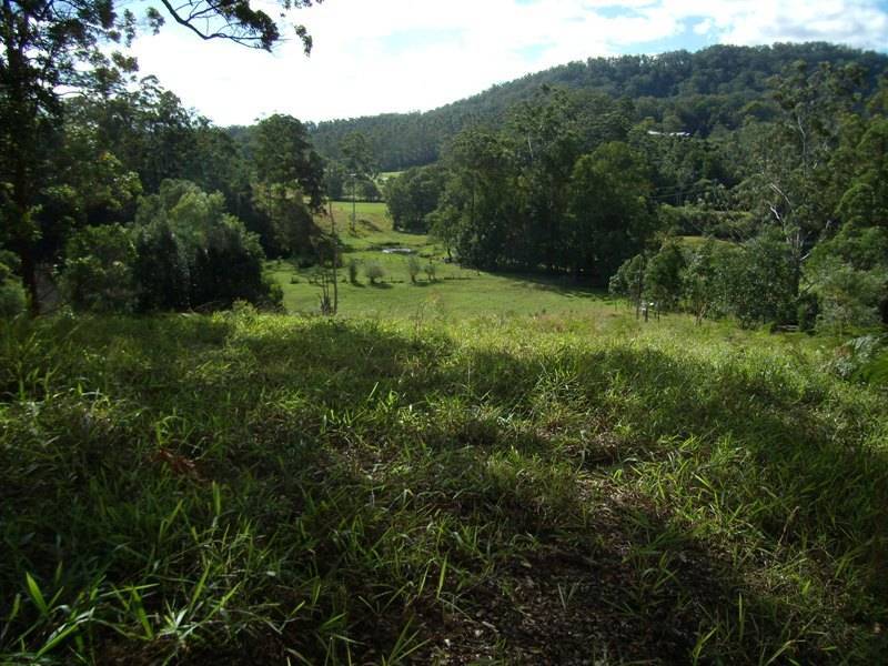 Lot 1 Bowraville Road, Bellingen NSW 2454
