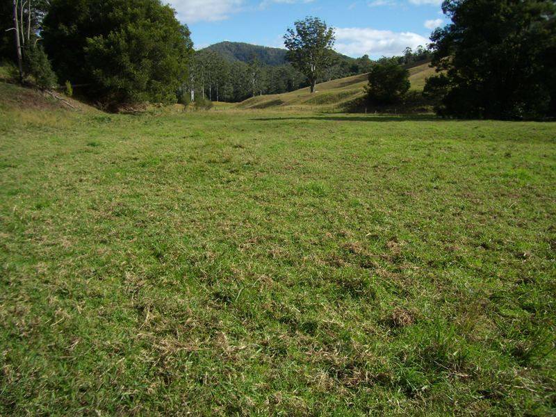 Lot 1 Bowraville Road, Bellingen NSW 2454