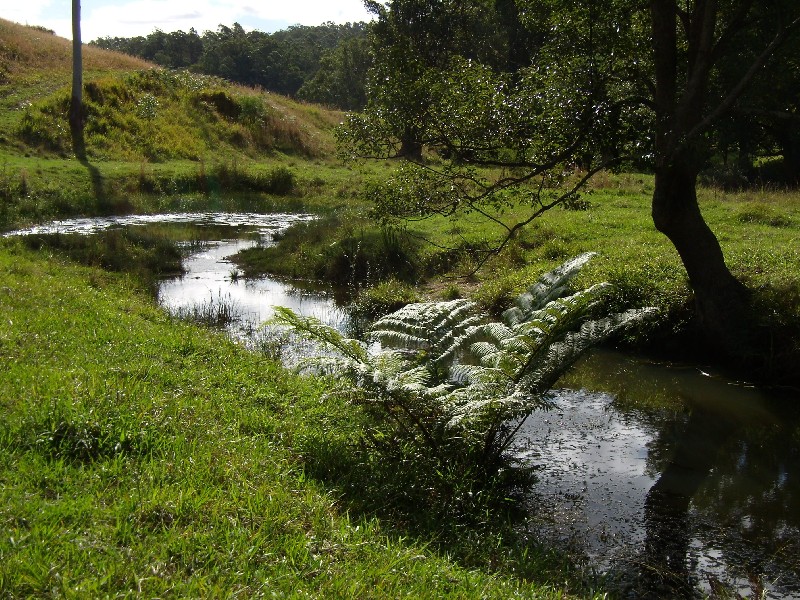 Lot 1 Bowraville Road, Bellingen NSW 2454