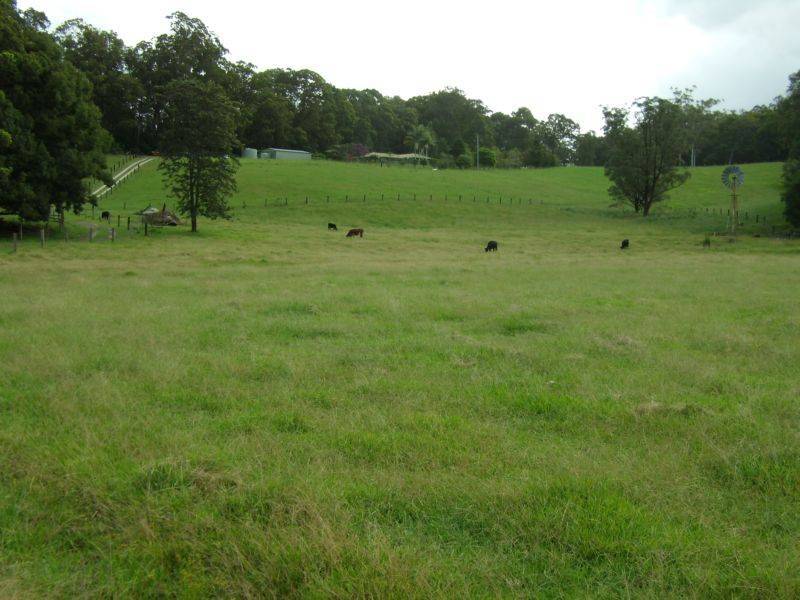 11 Brutons Road, Raleigh NSW 2454