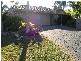 17 Dewing Close, Toormina NSW 2452
