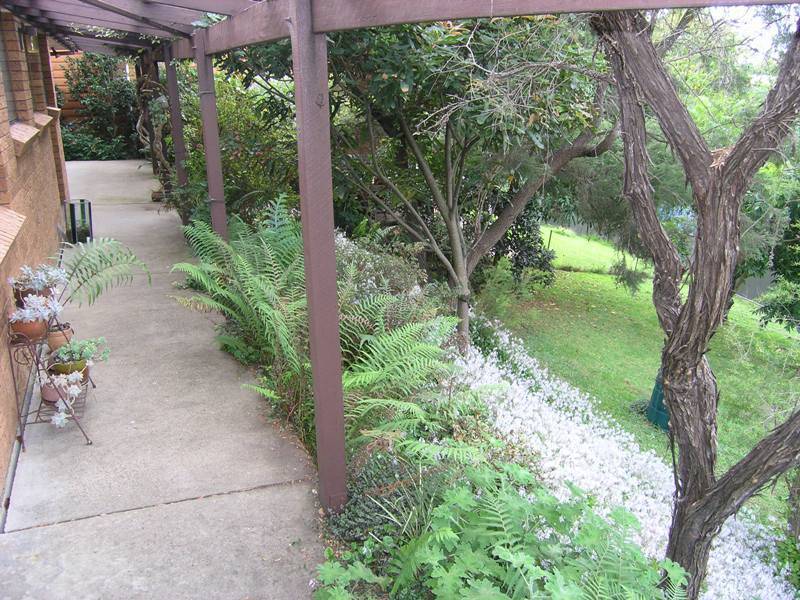 5 Dyer Road, Coffs Harbour NSW 2450