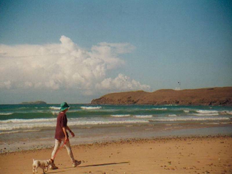 58 Ironbark Avenue, Sandy Beach NSW 2456