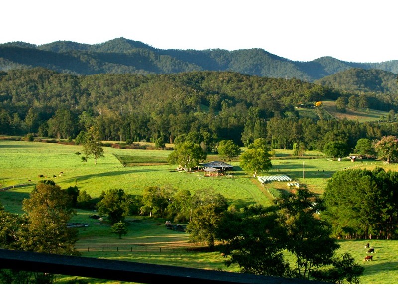 2749 Waterfall Way, Bellingen NSW 2454