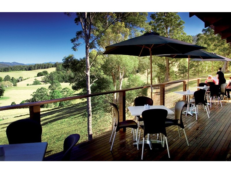 2749 Waterfall Way, Bellingen NSW 2454