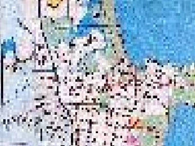 14 Maldon Place, Woolgoolga NSW 2456