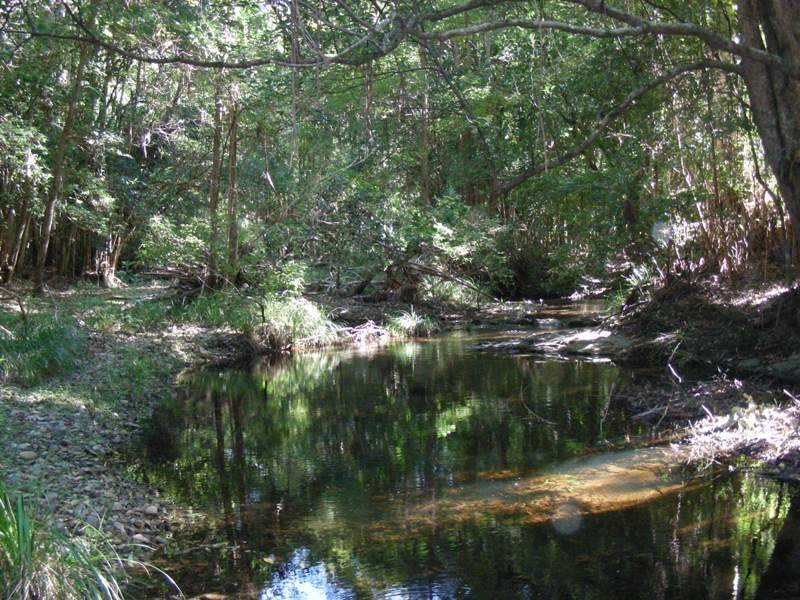 268 Nana Creek Road, Nana Glen NSW 2450
