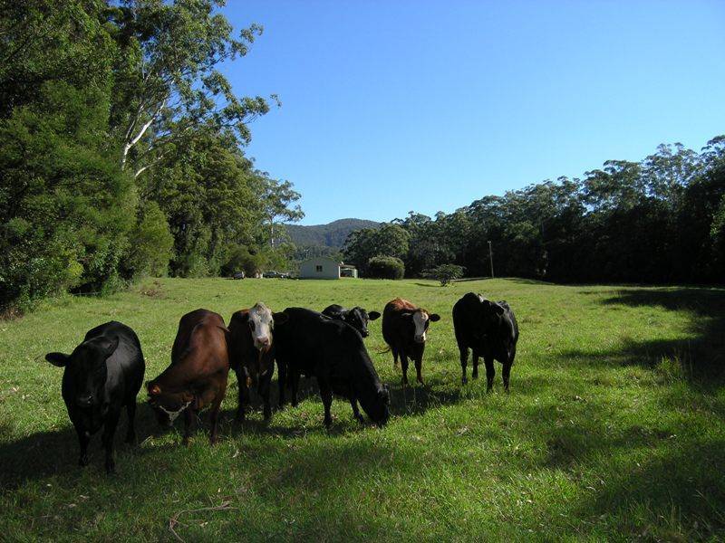 268 Nana Creek Road, Nana Glen NSW 2450
