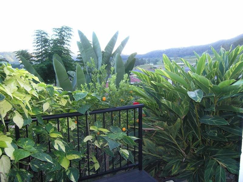 76 Pearce Drive, Coffs Harbour NSW 2450