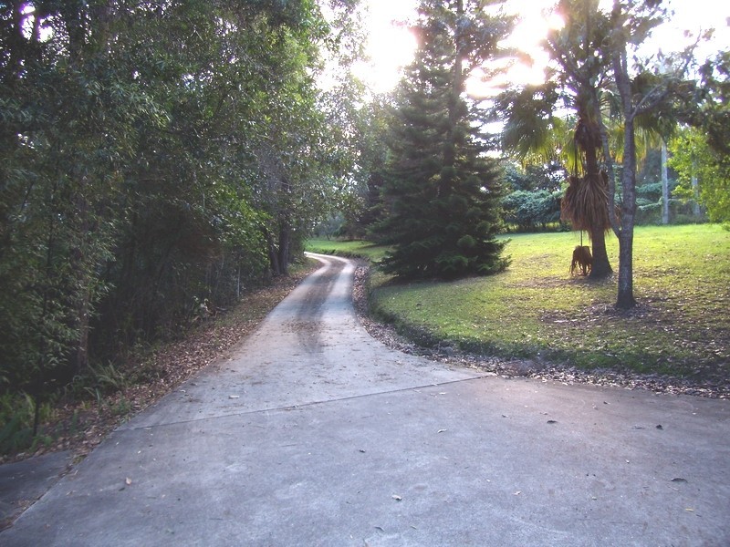 23 South Arm Road, Raleigh NSW 2454