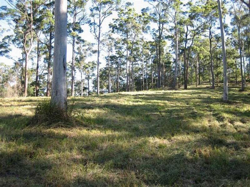 187 Allandale Road, Yandina Creek QLD 4561