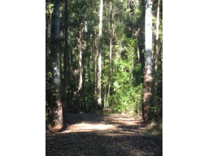 187 Allandale Road, Yandina Creek QLD 4561