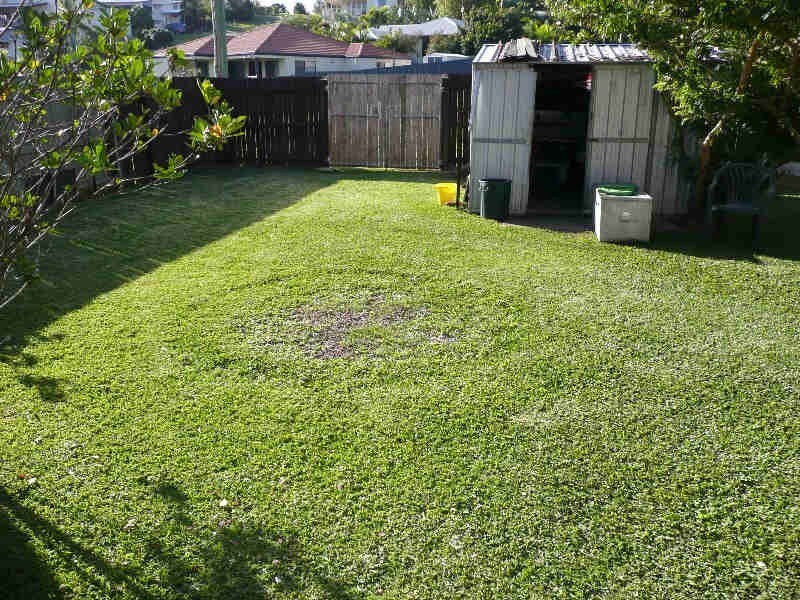 37 Binnea Street, Coolum Beach QLD 4573