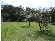 Yaroomba QLD 4573
