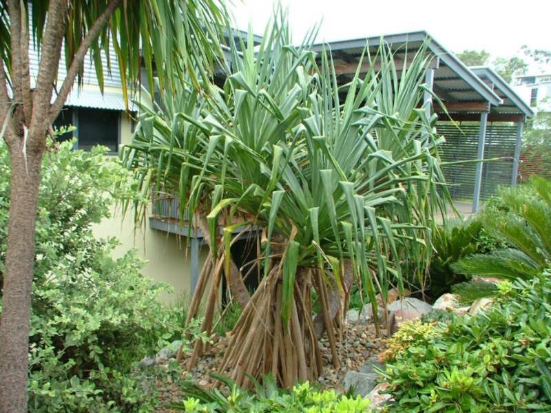 142 Grandview Drive, Coolum Beach QLD 4573