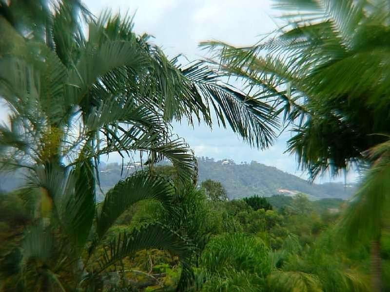 3/26 Greenoaks Drive, Coolum Beach QLD 4573