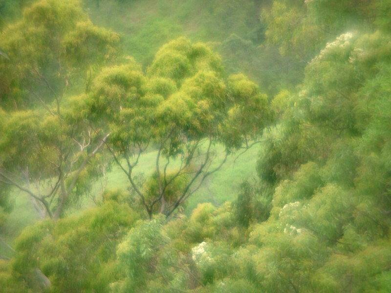 65 Honeydew Place, Ninderry QLD 4561