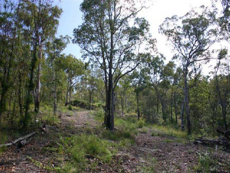 24 Leichhardt Drive, Yandina Creek QLD 4561