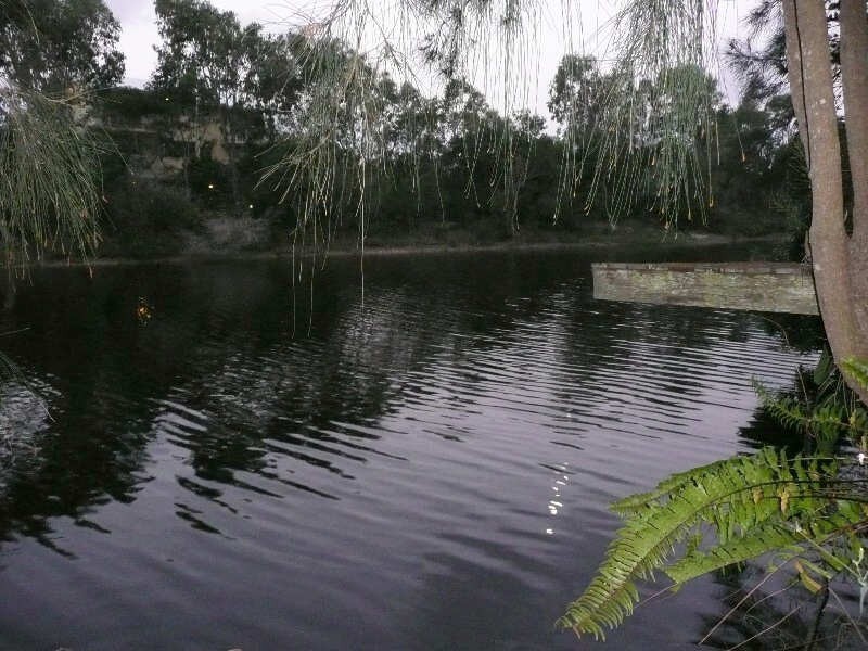 Coolum Beach QLD 4573