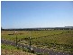 48 Skylark Street, Coolum Beach QLD 4573