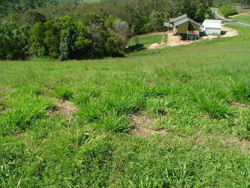 35 Whistler Ridge Drive, Yandina Creek QLD 4561