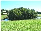 Banora Point NSW 2486