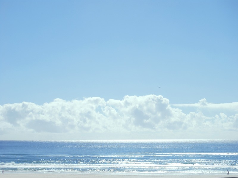 8/52 Pacific Parade, Kirra QLD 4225