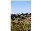 83 Fraser Drive, Banora Point NSW 2486