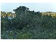 87 Bimbadeen Avenue, Banora Point NSW 2486