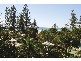 329 Calypso Plaza, 99 Griffith Street, Coolangatta QLD 4225