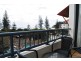 437 Calypso Plaza, 99 Griffith Street, Coolangatta QLD 4225