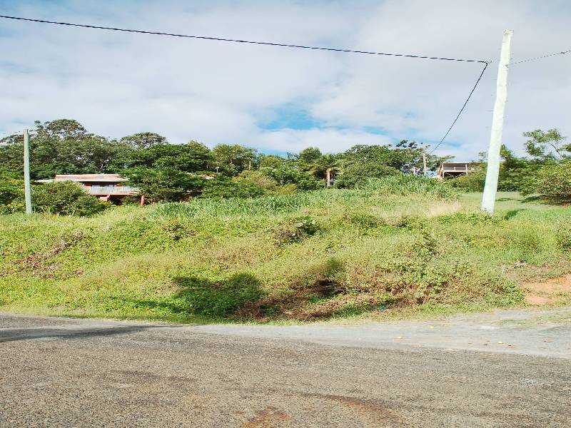 29 Lakeview Parade, Tweed Heads South NSW 2486