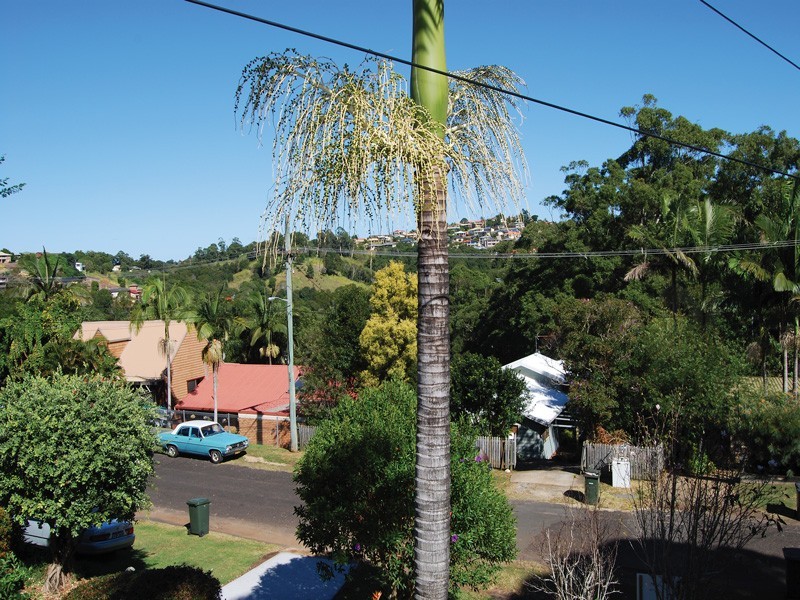 33 Lalina Avenue, Tweed Heads West NSW 2485