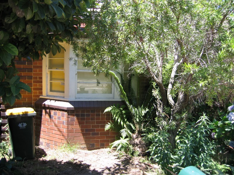 453 Penshurst Street, Roseville NSW 2069