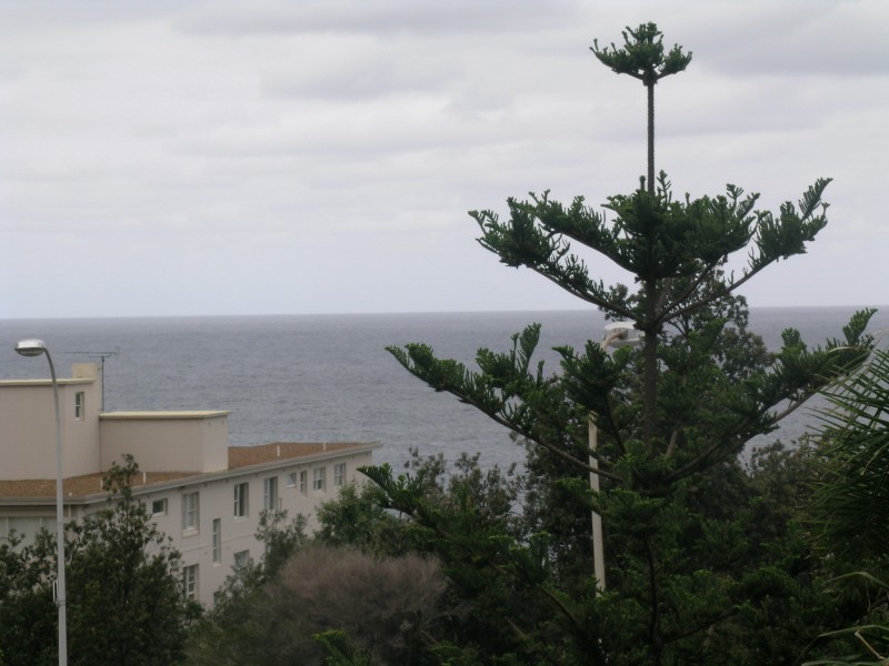 Unit 3, 2 Francis Street, Bondi Beach NSW 2026