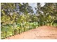 1 Bendtree Way, Castle Hill NSW 2154