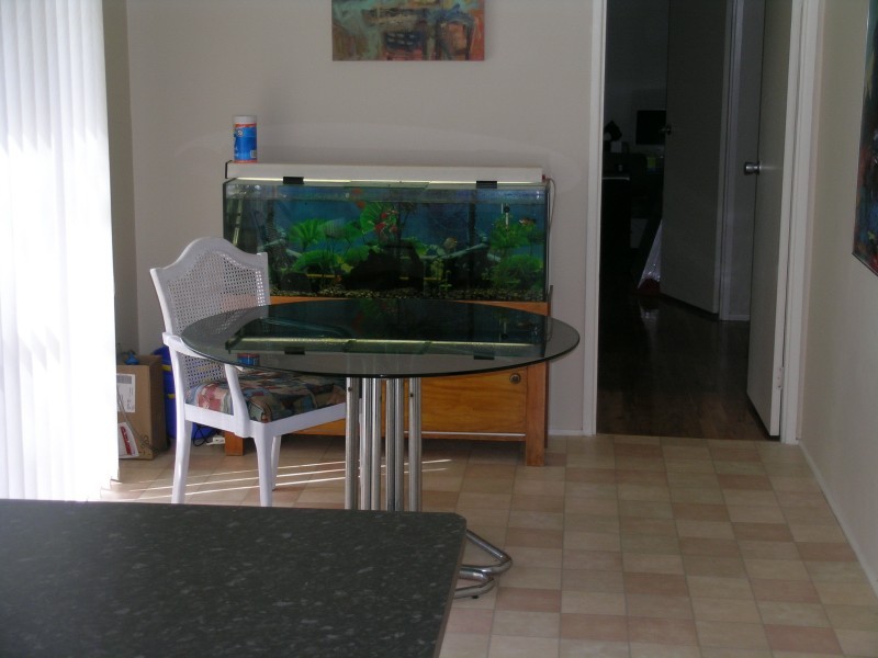 6 Collett Crescent, Kings Langley NSW 2147