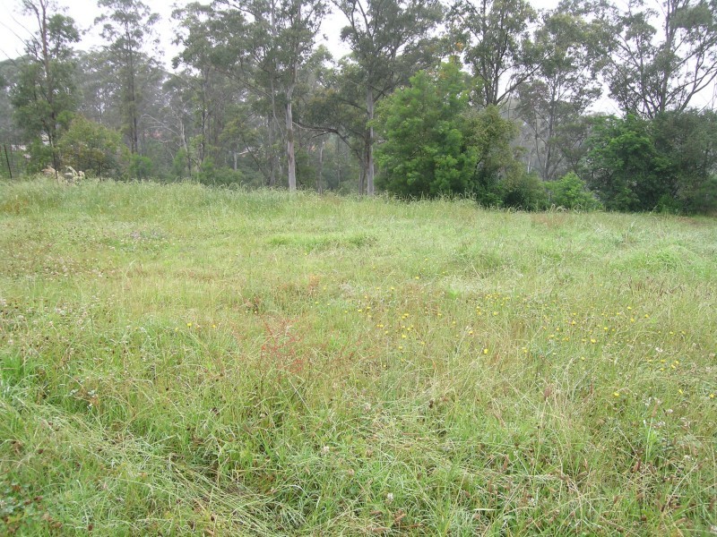 Lot 203 Doris Hirst Place, West Pennant Hills NSW 2125