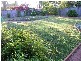 60 Telfer Road, Castle Hill NSW 2154