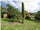 41 White Cedar Drive, Castle Hill NSW 2154