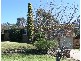 41 White Cedar Drive, Castle Hill NSW 2154